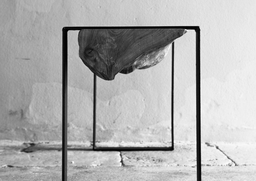 olmo5x7_MG_9076bw
